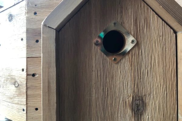 ezgif.com-webp-to-jpg (1)